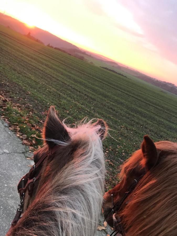 Landhof Lieg - Tierische Auszeit In Unseren Gemuetlichen Ferienwohnungen Buitenkant foto