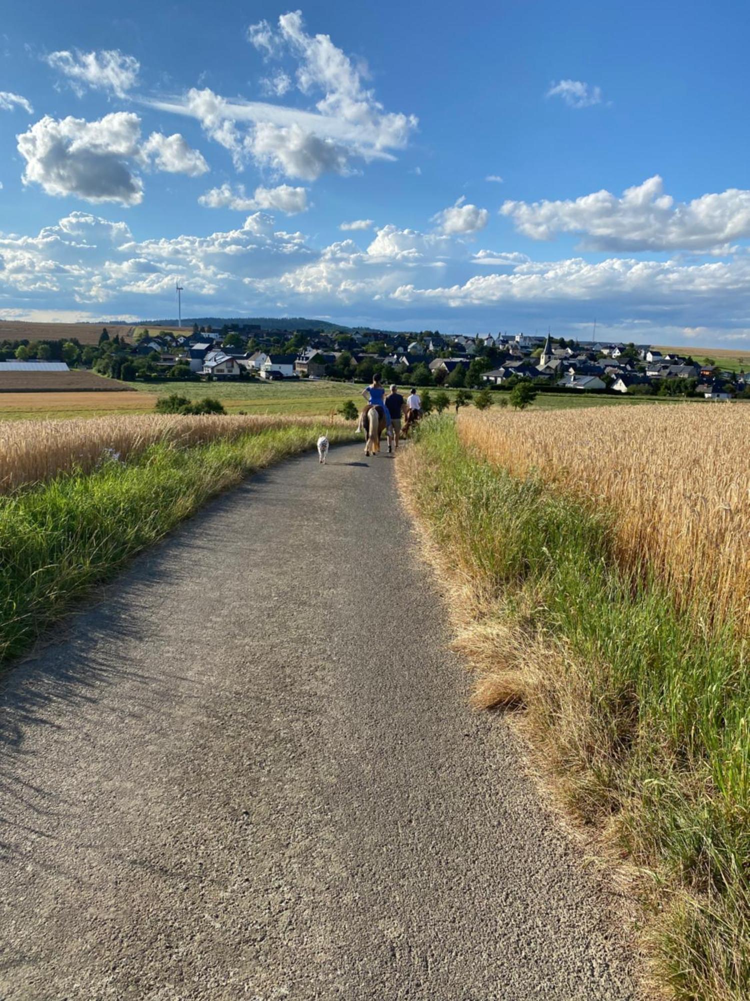 Landhof Lieg - Tierische Auszeit In Unseren Gemuetlichen Ferienwohnungen Buitenkant foto